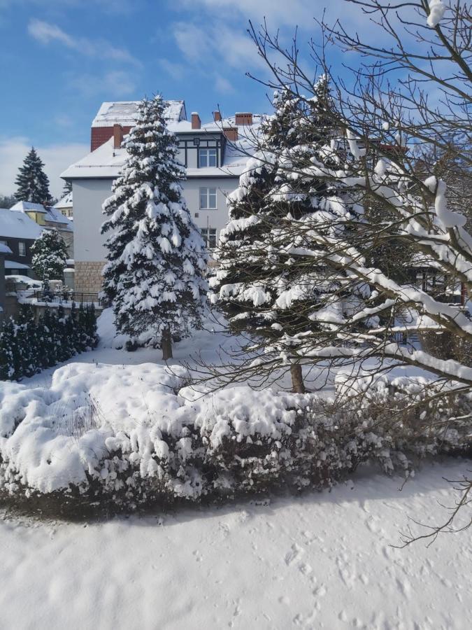 Villa Lessing Polanica-Zdrój Εξωτερικό φωτογραφία